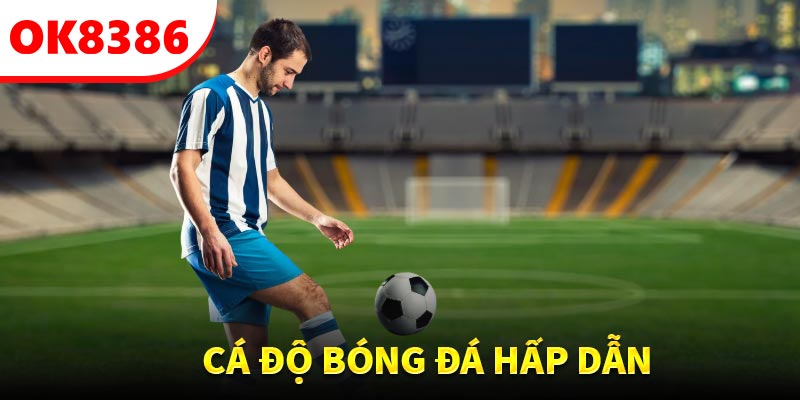 Đặt cược bóng đá xanh chín, dễ rinh thưởng về tay